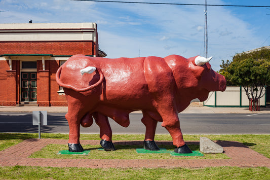Big Bull, Birchip, Australia