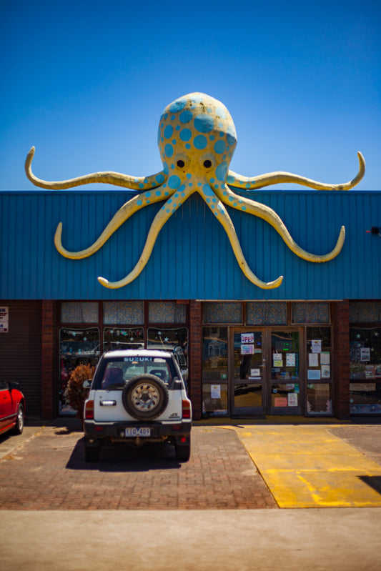 Big Octopus, Lakes Entrance, Australia