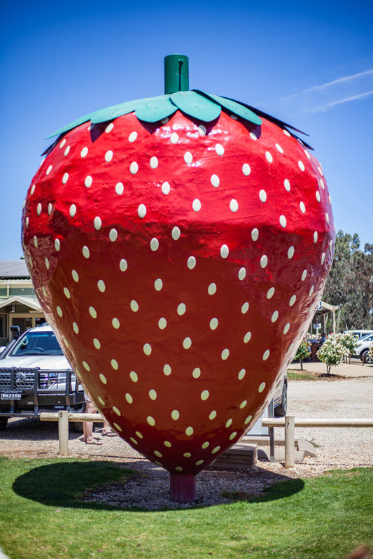 Big Strawberry, Koonoomoo, Australia