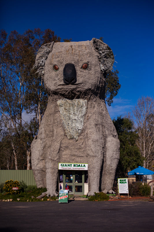 Giant Koala, Dadswell Bridge, Australia