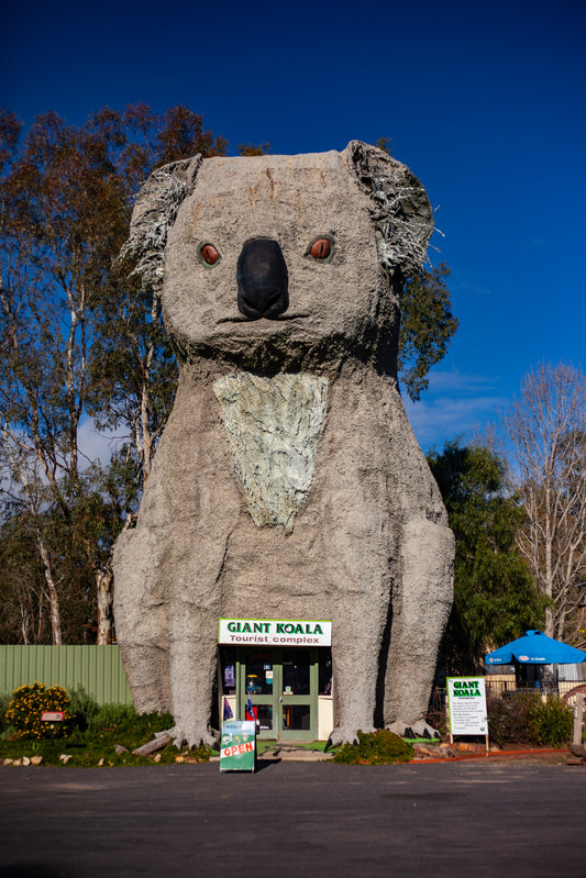 Giant Koala, Dadswell Bridge, Australia