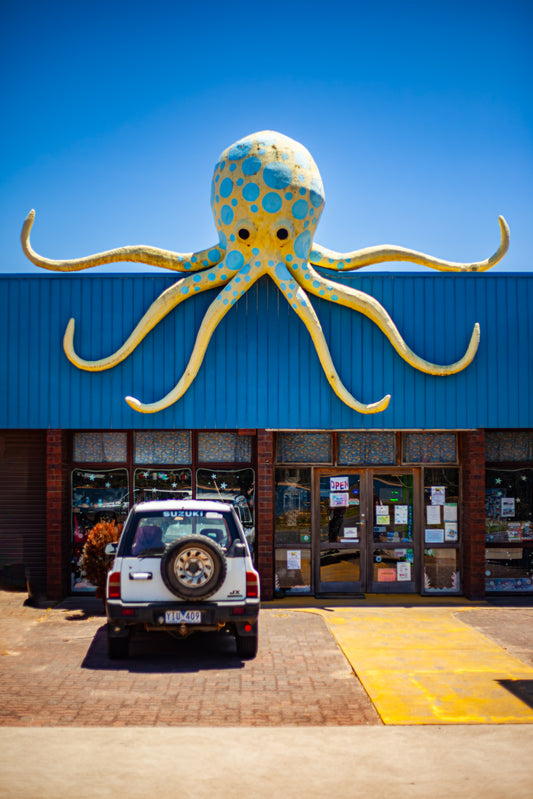 Big Octopus, Lakes Entrance, Australia